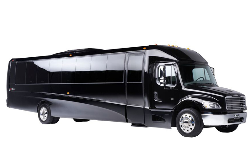 Mini Coach